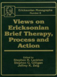Views On Ericksonian Brief Therapy