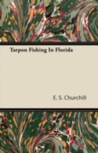 Tarpon Fishing in Florida