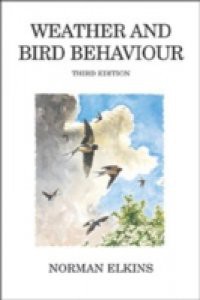 Weather and Bird Behaviour