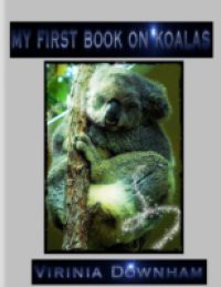 My First Book on Koalas