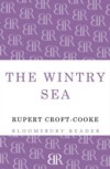 Wintry Sea