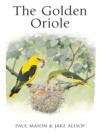 Golden Oriole