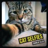 Cat Selfies