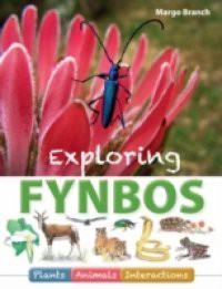 Exploring Fynbos: Plants, Animals, Interactions.