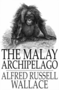 Malay Archipelago