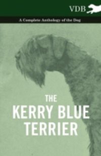 Kerry Blue Terrier – A Complete Anthology of the Dog