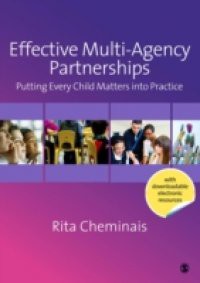 Effective Multi-Agency Partnerships