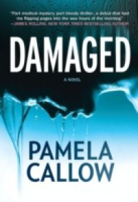 Damaged (A Kate Lange Novel, Book 1)