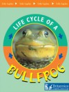 Bullfrog