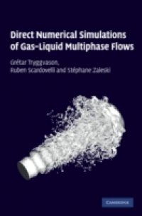 Direct Numerical Simulations of Gas-Liquid Multiphase Flows