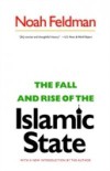 Fall and Rise of the Islamic State