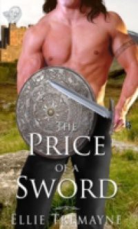 Price of a Sword