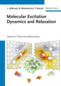 Molecular Excitation Dynamics and Relaxation