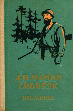 О книге