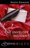 Envelope Incident (Mills & Boon Spice Briefs)