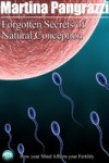 Forgotten Secrets of Natural Conception