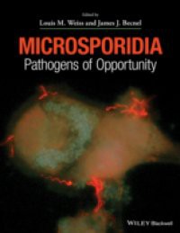 Microsporidia