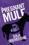 Pregnant Mule