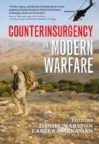 Counterinsurgency In Modern Warfare