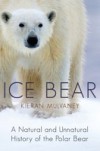 Ice Bear