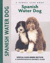 Spanish Water Dog