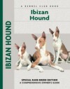 Ibizan Hound