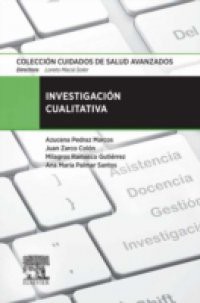 Investigacion cualitativa