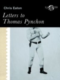 Letters To Thomas Pynchon And Other Stories