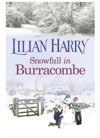 Snowfall in Burracombe
