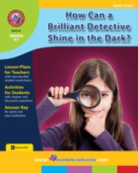 How Can a Brilliant Detective Shine in the Dark? (Novel Study)