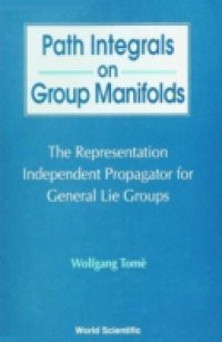 PATH INTEGRALS ON GROUP MANIFOLDS, REPRESENTATION-INDEPENDENT PROPAGATORS FOR GENERAL LIE GROUPS