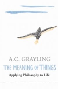 Meaning of Things