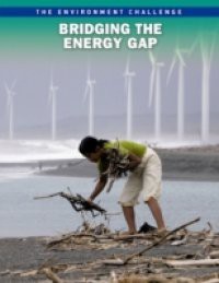 Bridging the Energy Gap