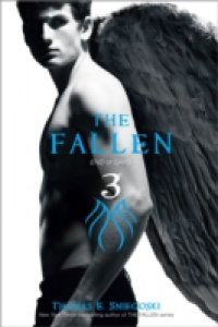 Fallen 3