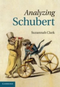 Analyzing Schubert