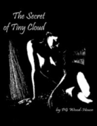Secret of Tiny Cloud