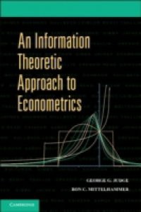 Information Theoretic Approach to Econometrics