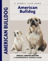 American Bulldog