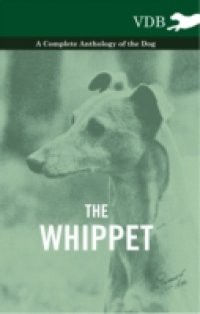 Whippet – A Complete Anthology of the Dog