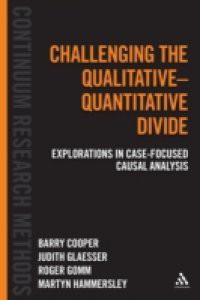 Challenging the Qualitative-Quantitative Divide