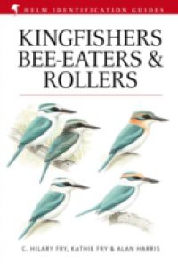 Kingfishers, Bee-eaters and Rollers