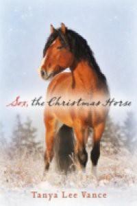 Sox, the Christmas Horse