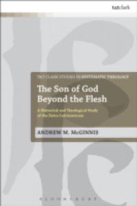 Son of God Beyond the Flesh