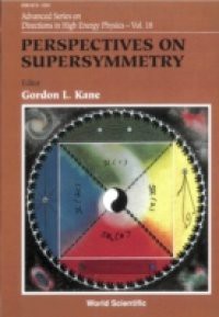 PERSPECTIVES ON SUPERSYMMETRY