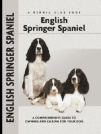 English Springer Spaniel