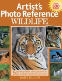 Artist's Photo Reference – Wildlife