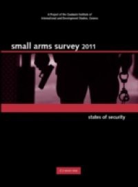 Small Arms Survey 2011