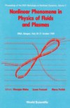 NONLINEAR PHENOMENA IN PHYSICS OF FLUIDS AND PLASMAS – PROCEEDINGS OF THE ENEA WORKSHOP ON NONLINEAR DYNAMICS – VOLUME 2