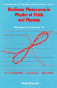 NONLINEAR PHENOMENA IN PHYSICS OF FLUIDS AND PLASMAS – PROCEEDINGS OF THE ENEA WORKSHOP ON NONLINEAR DYNAMICS – VOLUME 2