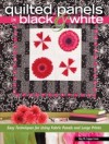 Quilted Panels in Black and White
